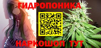 молекула духа Кулебаки