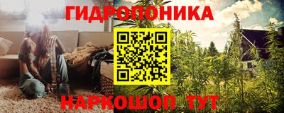 молекула духа Кулебаки