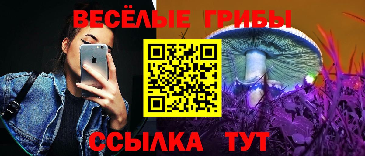 Галлюциногенные грибы Psilocybe Саров