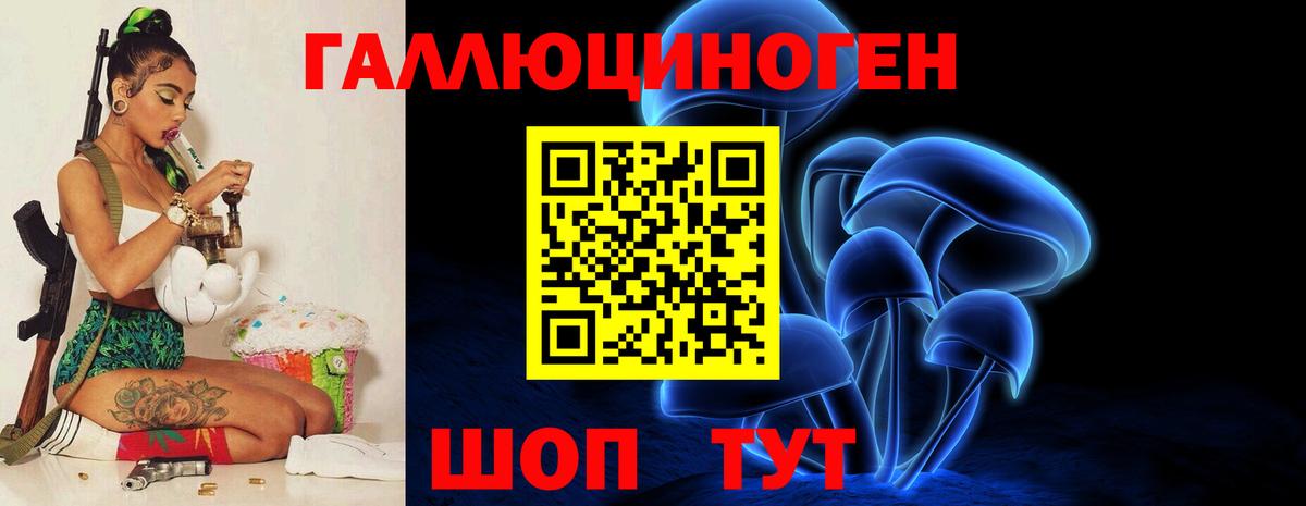 Псилоцибиновые грибы Cubensis  Вход с VPN  Саров  Галлюциногенные грибы прущие грибы 